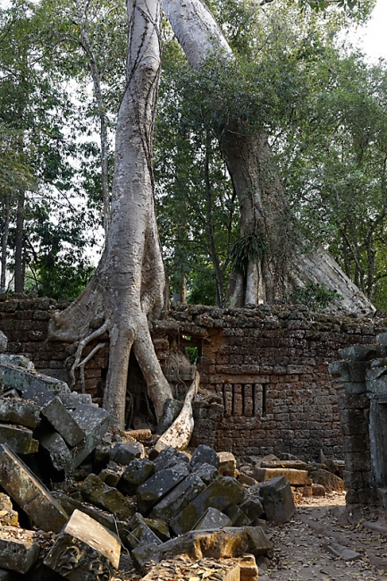 Ta Phrom et environs-154